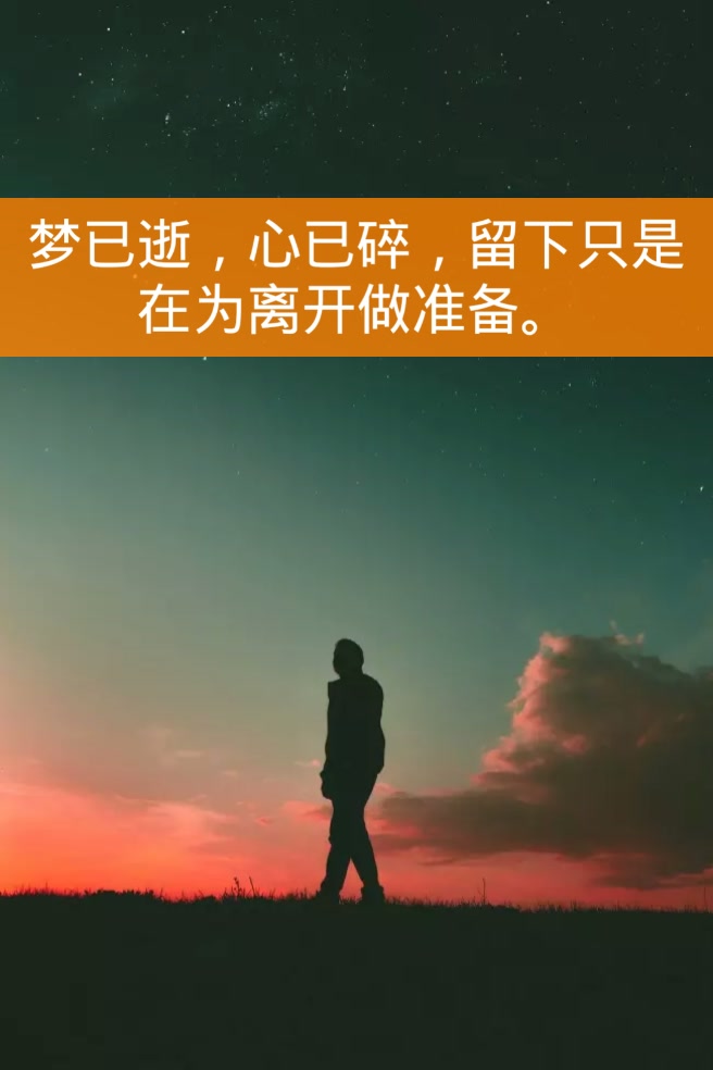 梦已逝,心已碎,留下只是在为离开做准备.
