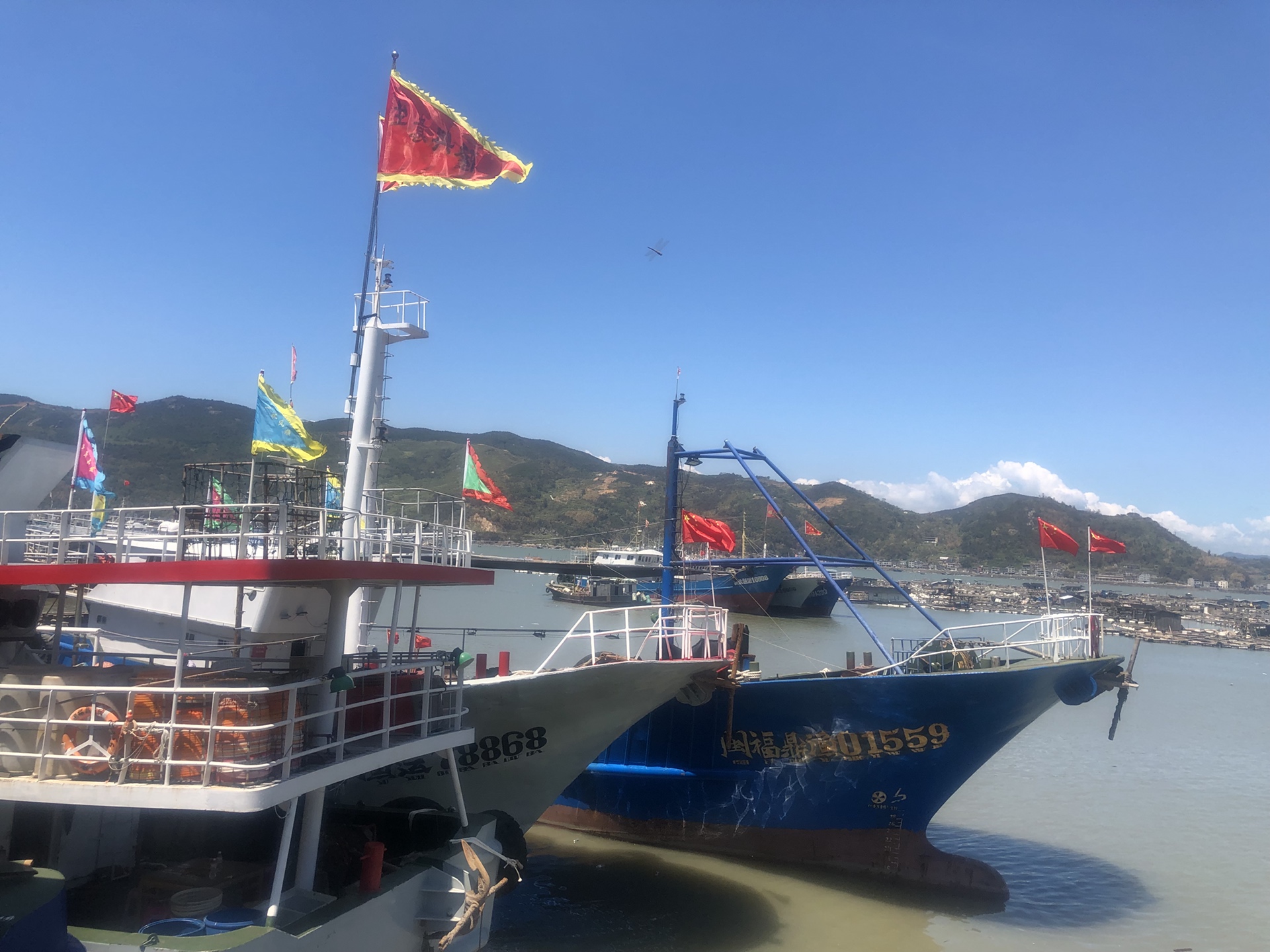 福鼎沙埕