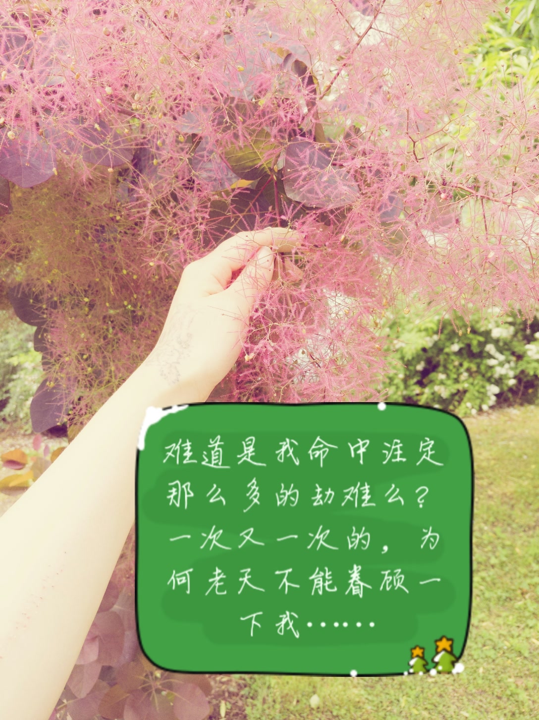 难道是我命中注定那么多的劫难么?