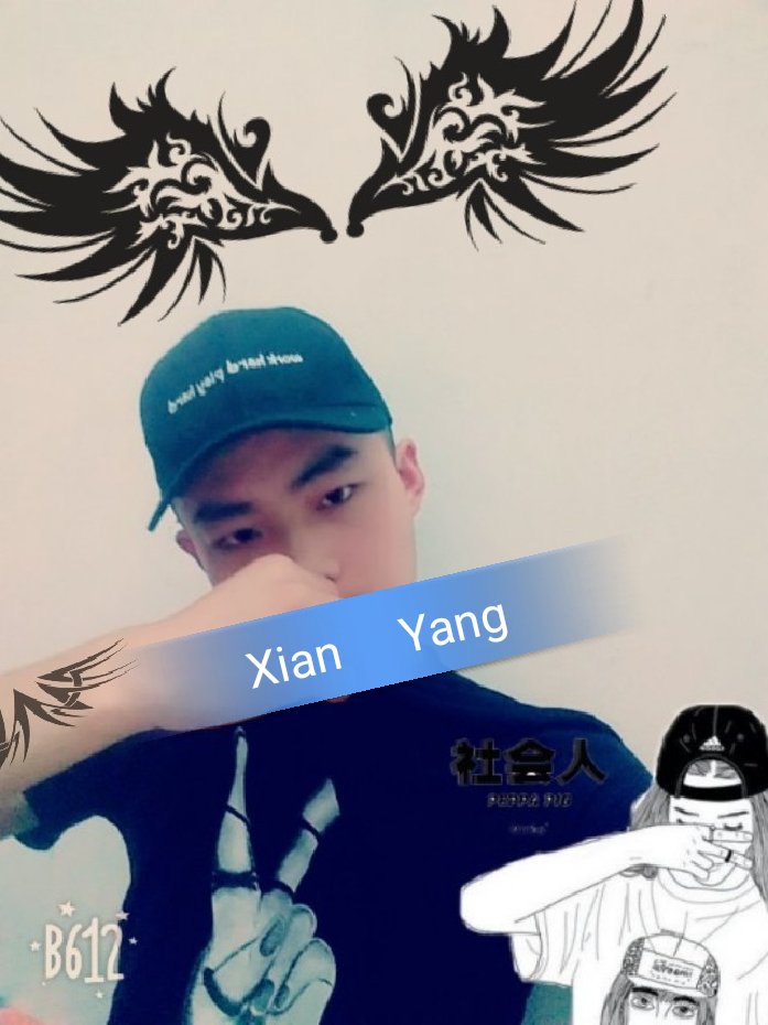 司徒小王一条大狼狗的主页-快手直播