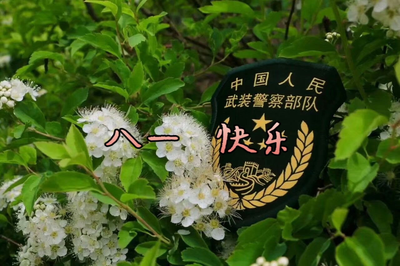 战友们  节日快乐 373        赞                   评论