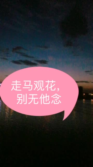 从今往后,走马观花,不谈爱情,一心向前,别无他念…… 5月前