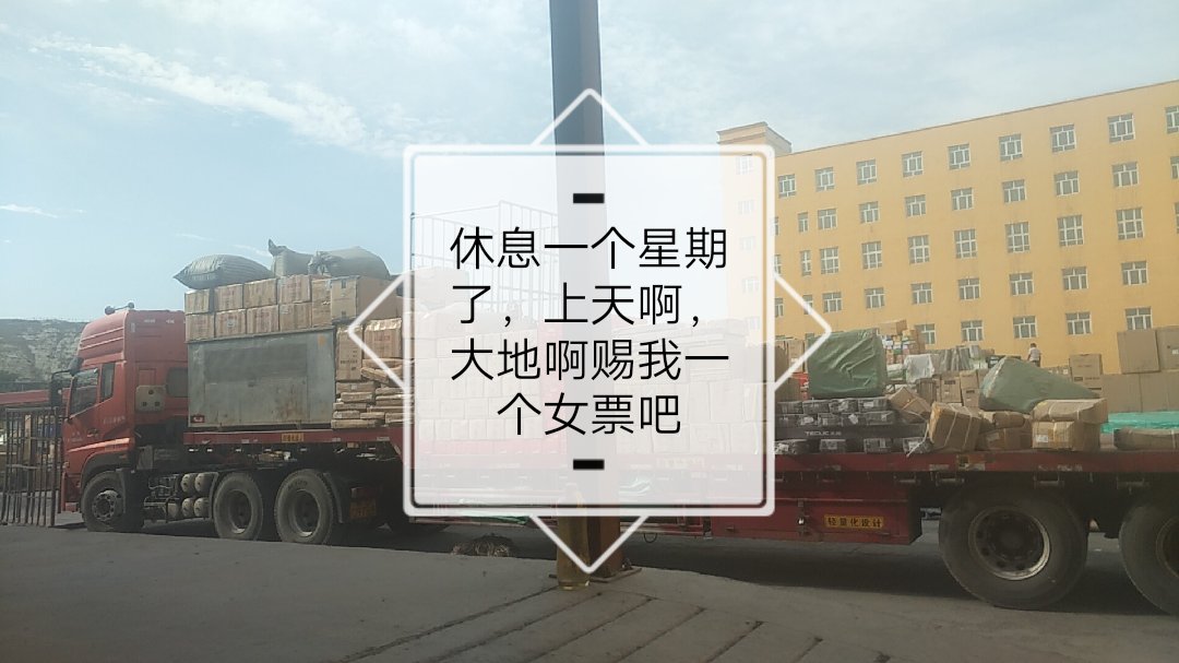 休息一个星期了,手续还没回来,盆友少,对象没有,天天在家快蒙死我了 6