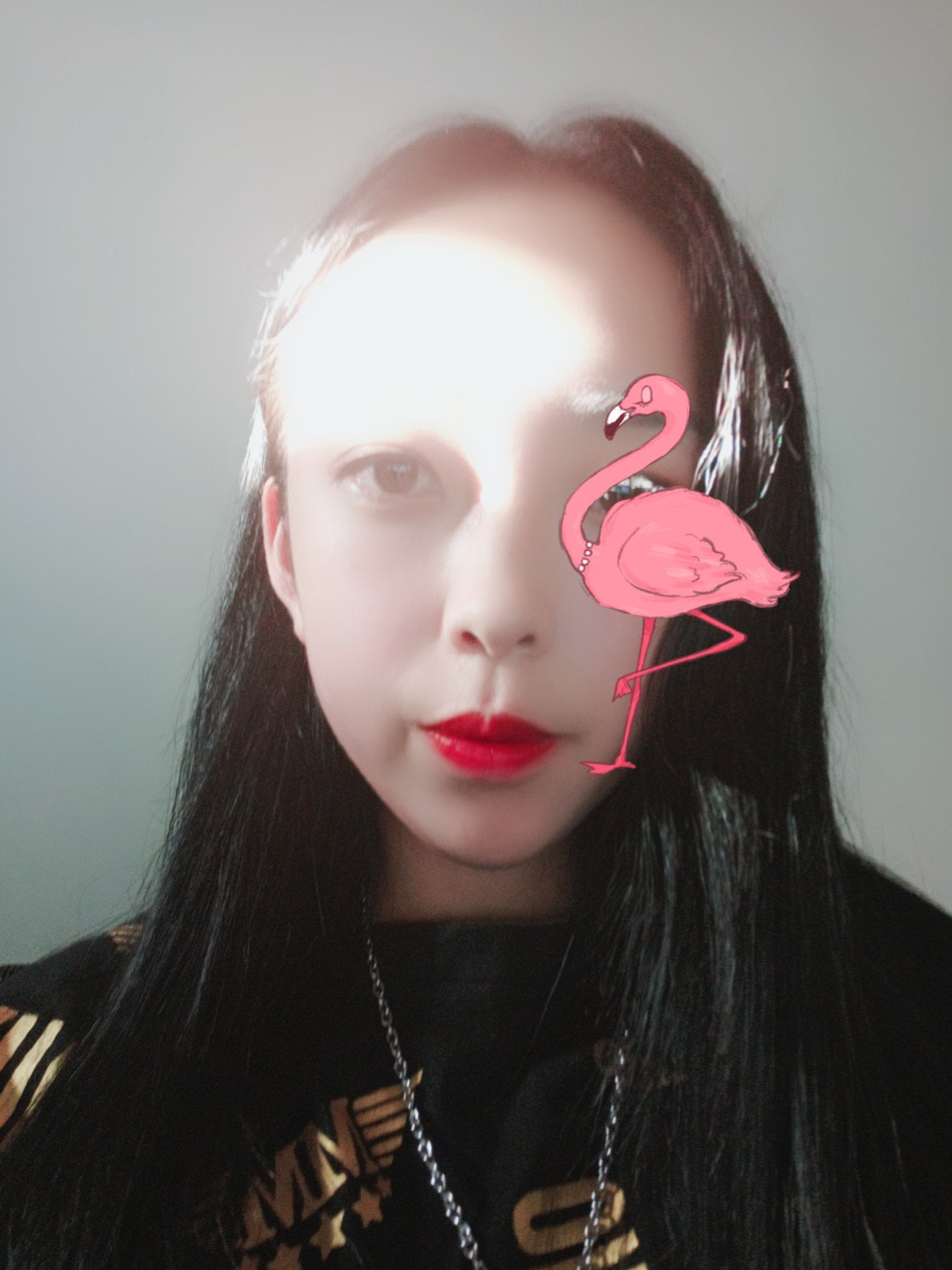 快手,记录世界 记录你