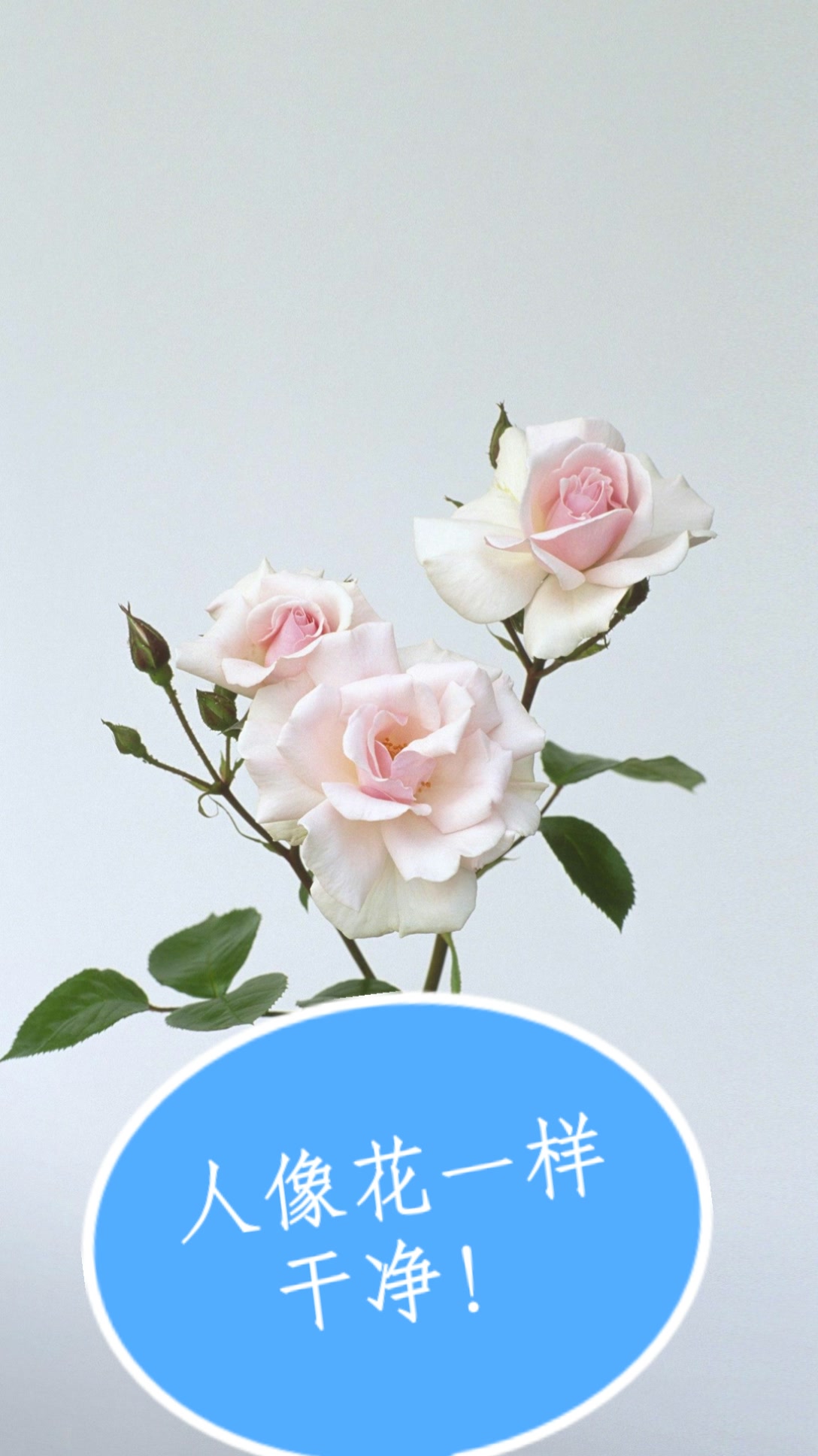 快手怎么点赞送花给别人（快手怎么点赞送花给别人看）