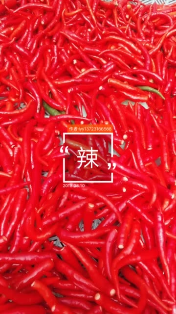 快手免费赞评论网站(快手免费点赞评论神器)
