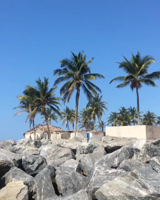 家#非洲#洛美# 120       赞                   评论