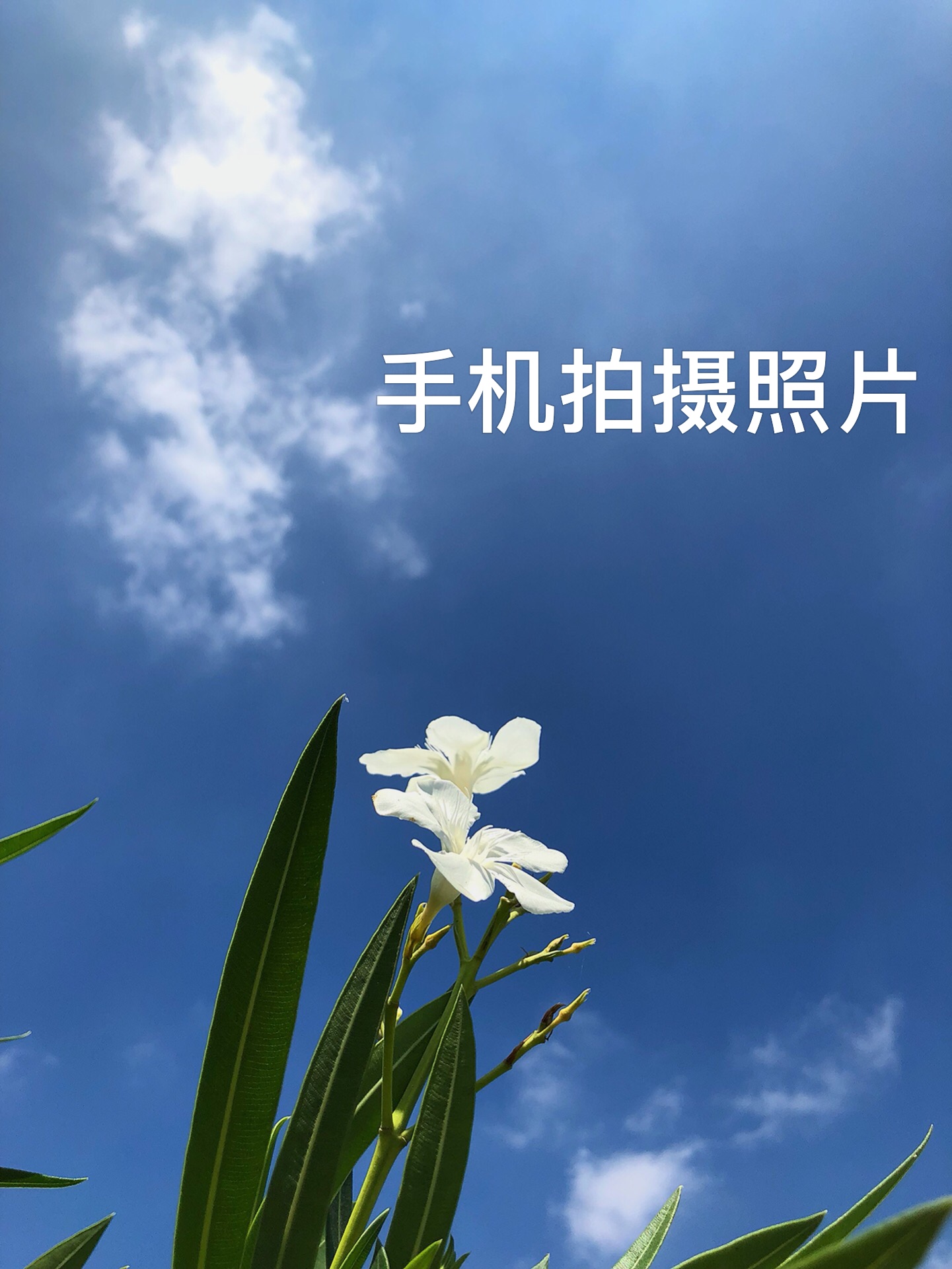 快手直播