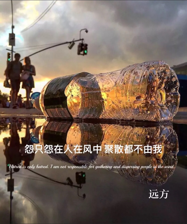 既然选择了远方,便只顾风雨兼程, 6月前