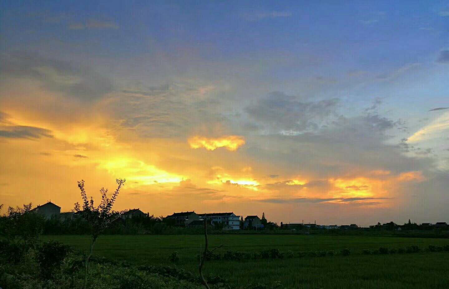 更新一波泰州的鄉村夕陽圖. 很喜歡這種意境. 4月前