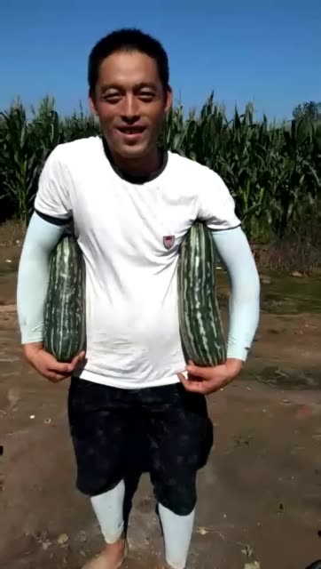 这瓜太大了 1175       赞                   评论              1月