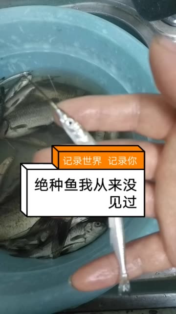 快手直播