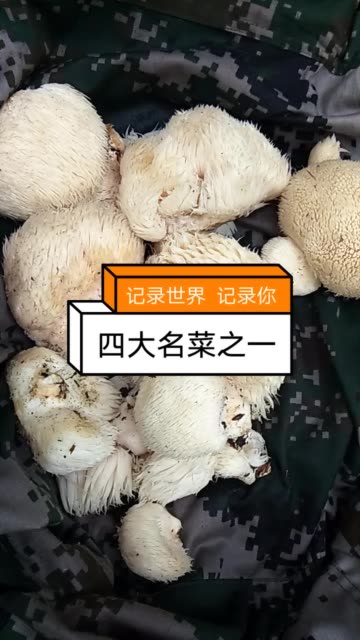 快手双击100个五块钱(快手双击100个五块钱是真的吗)