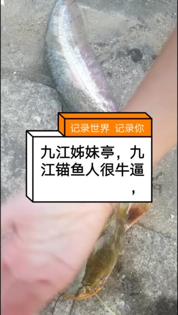 锚鱼小吴哥的主页-快手直播