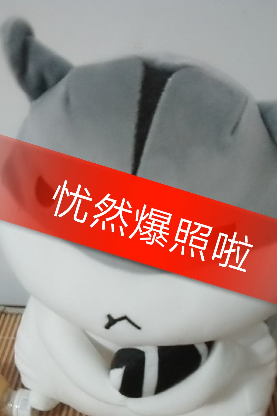 王者荣耀忧然(林度爱徒)的主页-快手直播