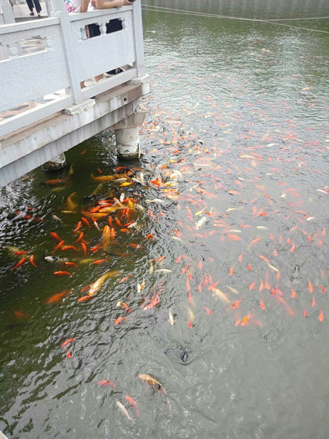 新民 亮哥的主页-快手直播