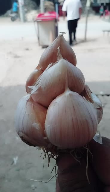 大蒜变异了 935       赞                   评论              2周