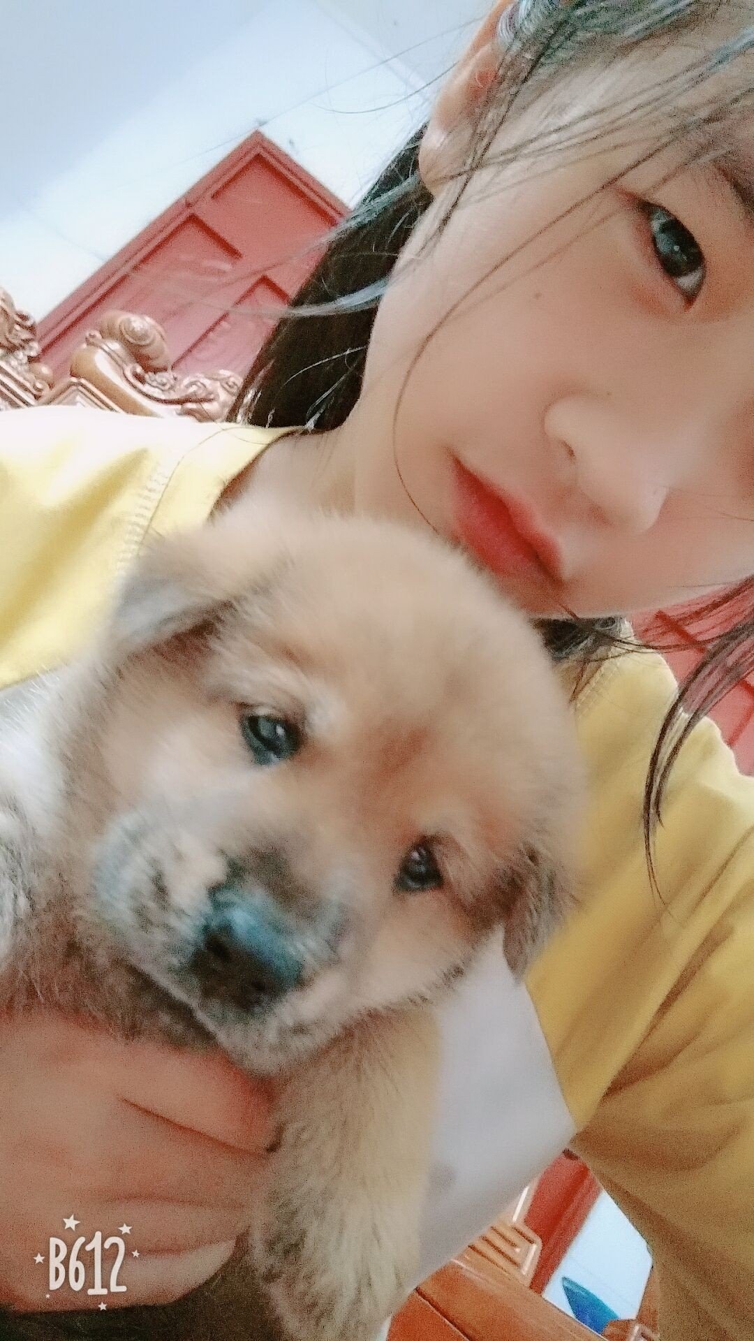 杨咩咩 《琪》小号的主页-快手直播