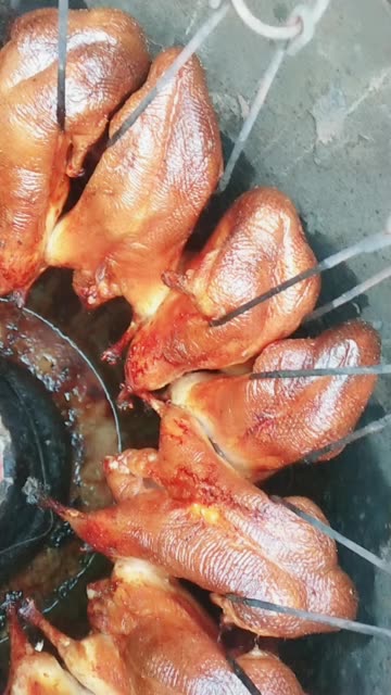 小鸭子烤好啦 356        赞                    评论