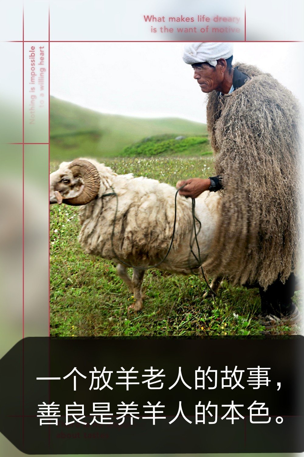 返乡放羊娃创业,小峰的主页-快手直播