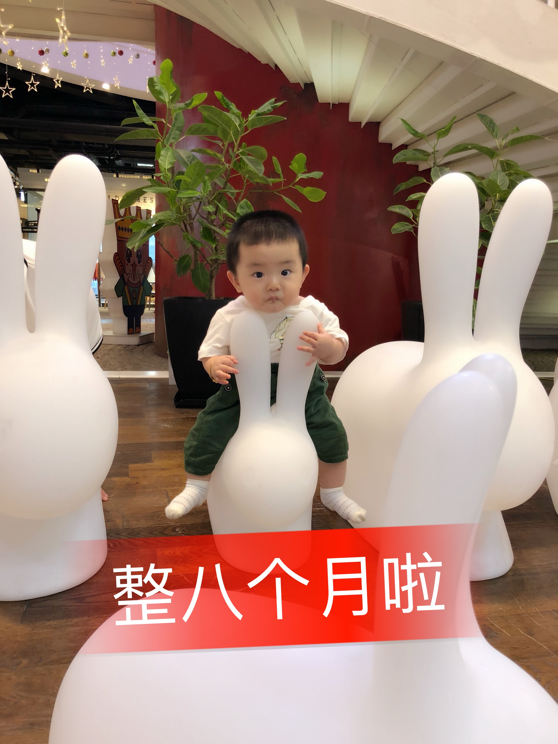 宝宝小贝乐【破一万】的主页-快手直播