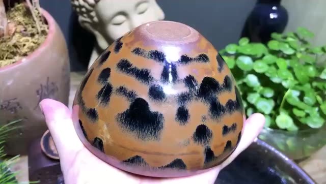 万山可染  欣赏欣赏欣赏 171       赞                   评论