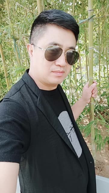 张天龙(情感分析)