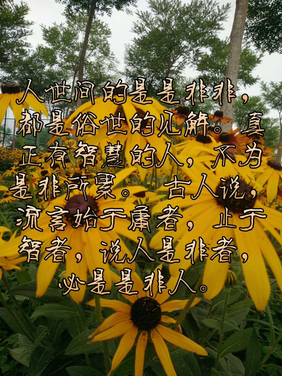 《爱情无价》pqort7bo