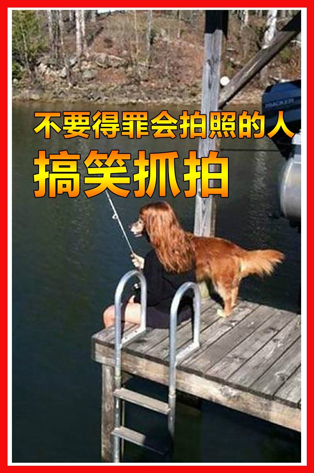 男波万(搞笑p图)6天前 117 6.5k 156.