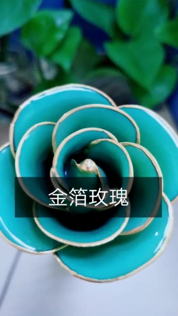 快手点赞怎么变玫瑰花了（快手点赞为什么没有红点提示）