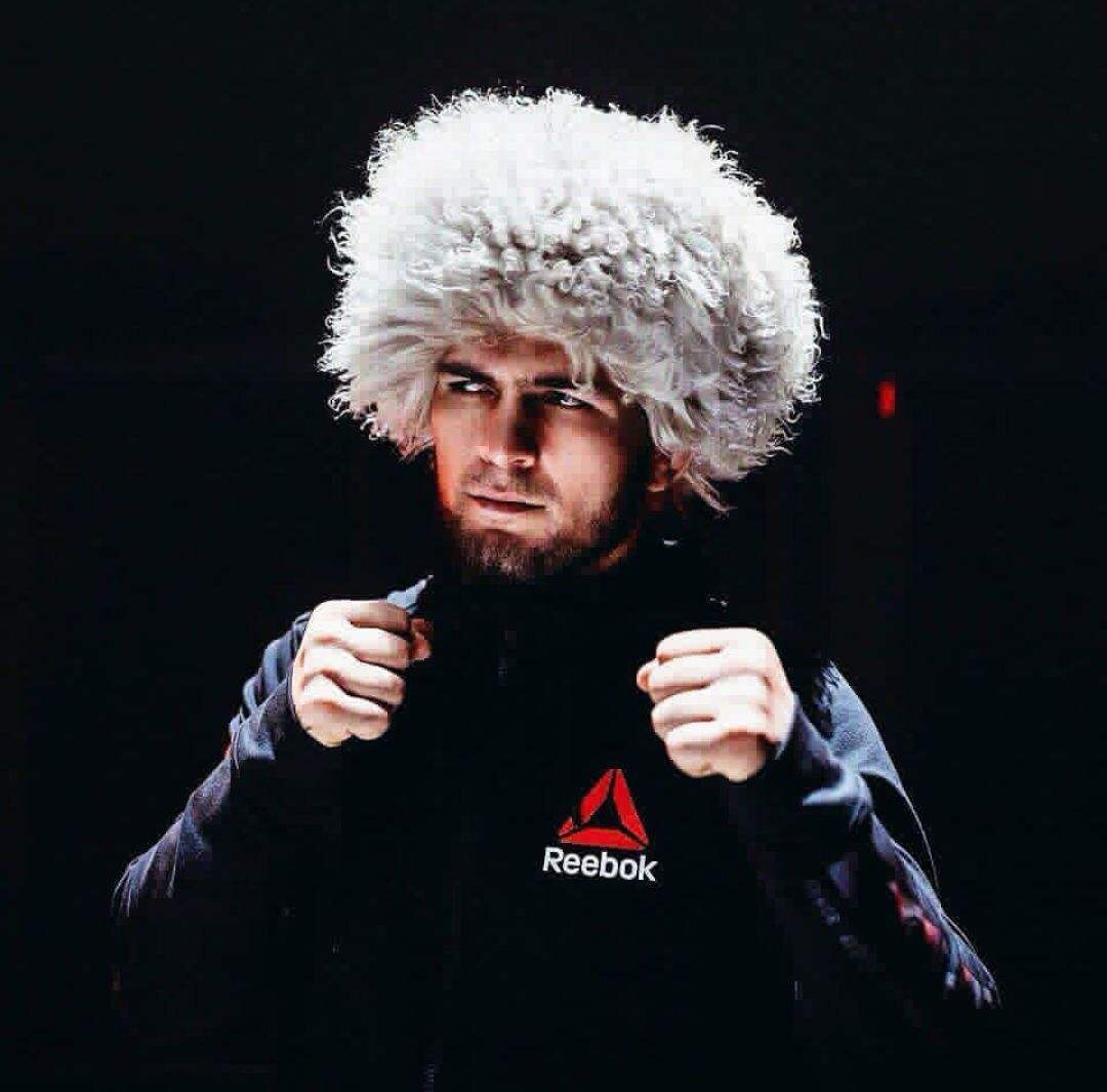 ufc冠军哈比布 永远不要像康纳一样走出六亲不认的步伐