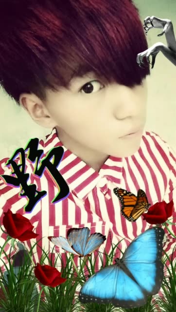 杨清&浪客的主页-快手直播