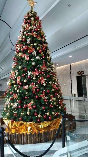 胡坦专业搭各种瓦-快手直播