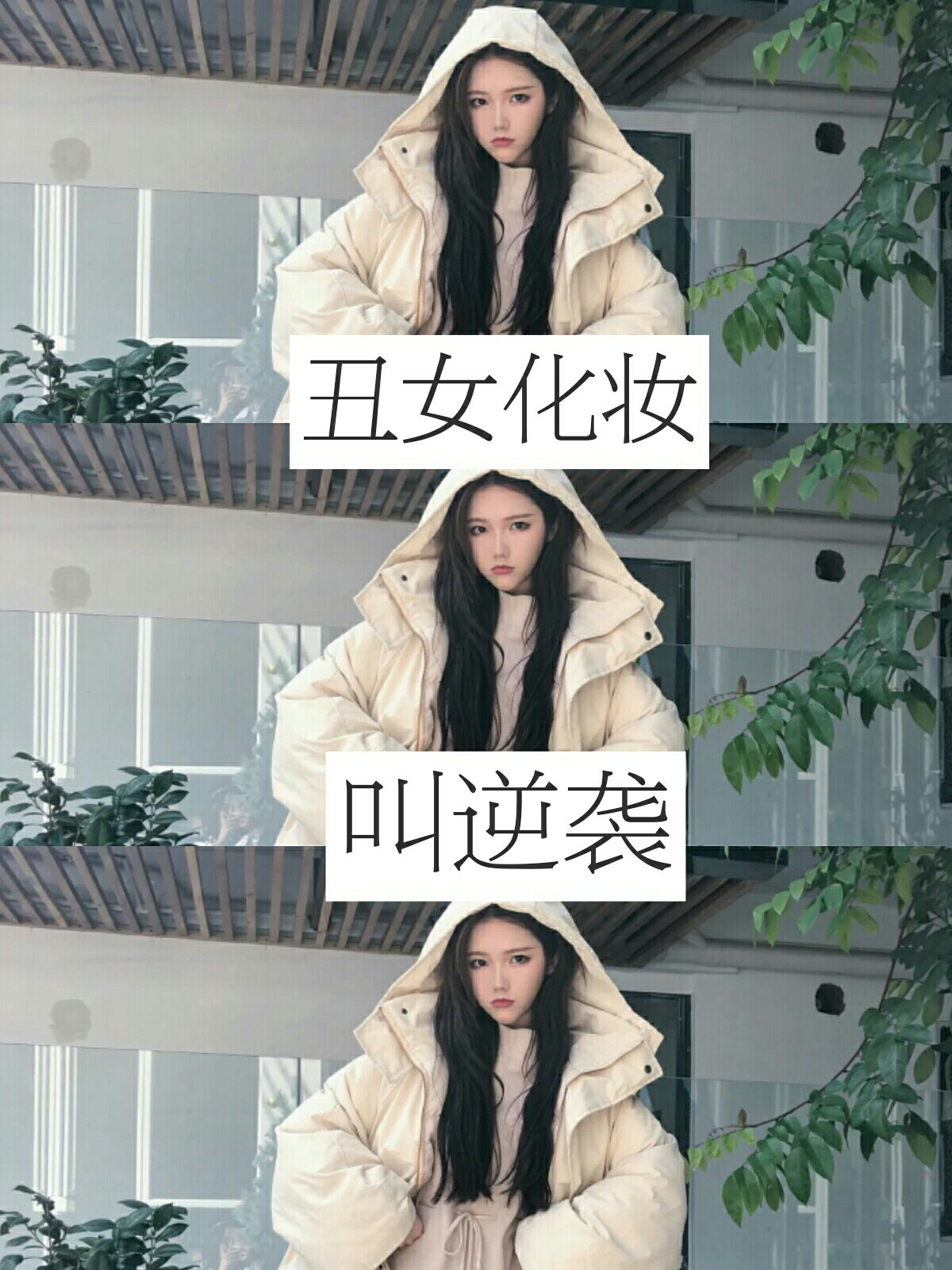 林七【浅然】
