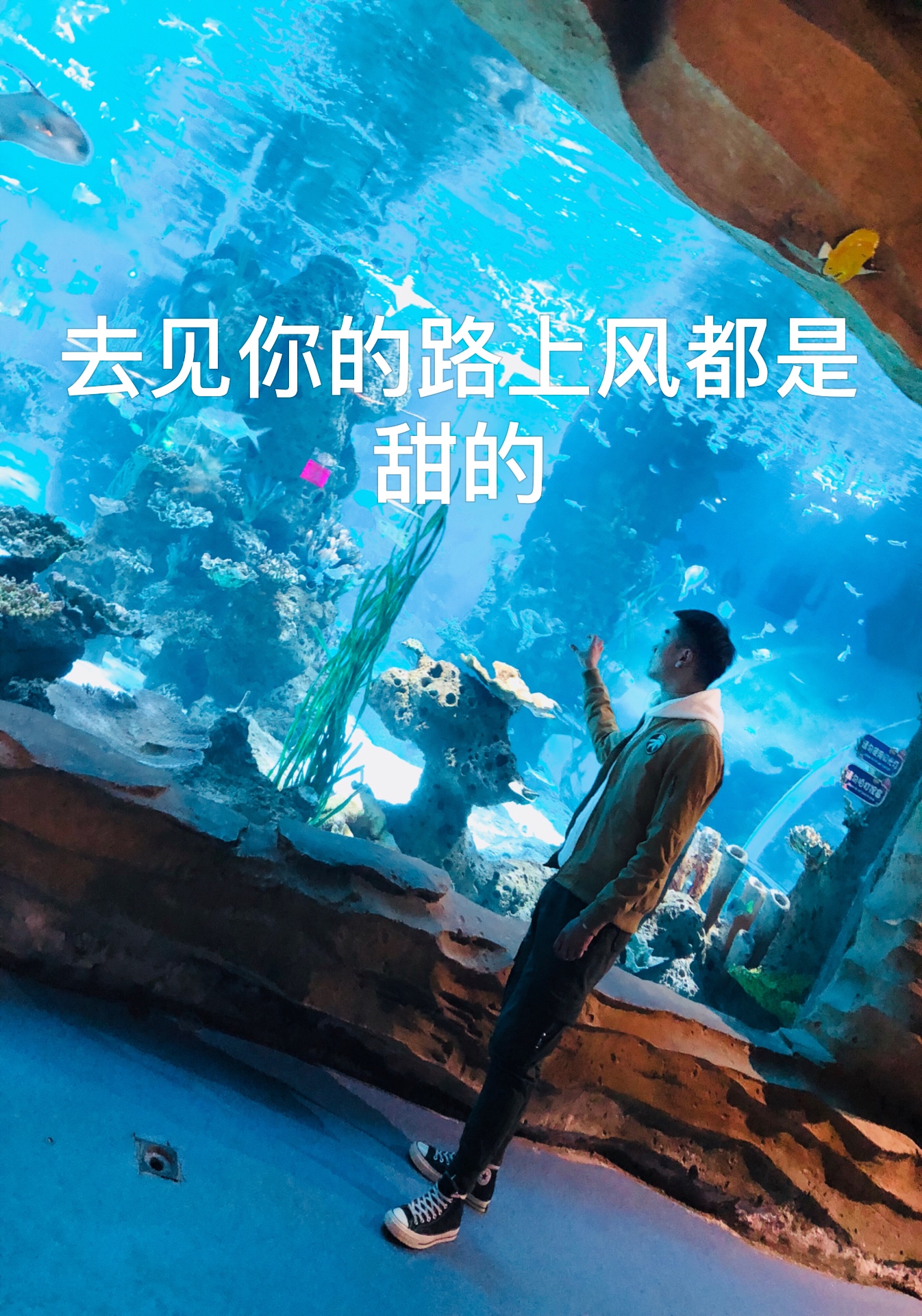 王牌牌7515的主页-快手直播