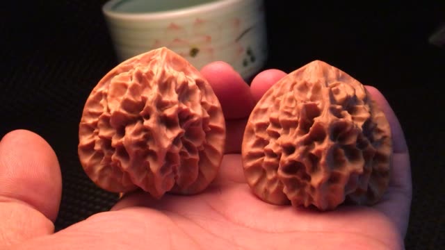野珊瑚狮子头,纹路超级漂亮,喜欢的老铁没毛病666666 3月前