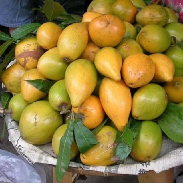 越南鸡蛋果5斤装40米包邮 2月前