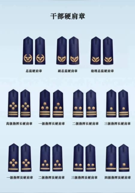                3周前
