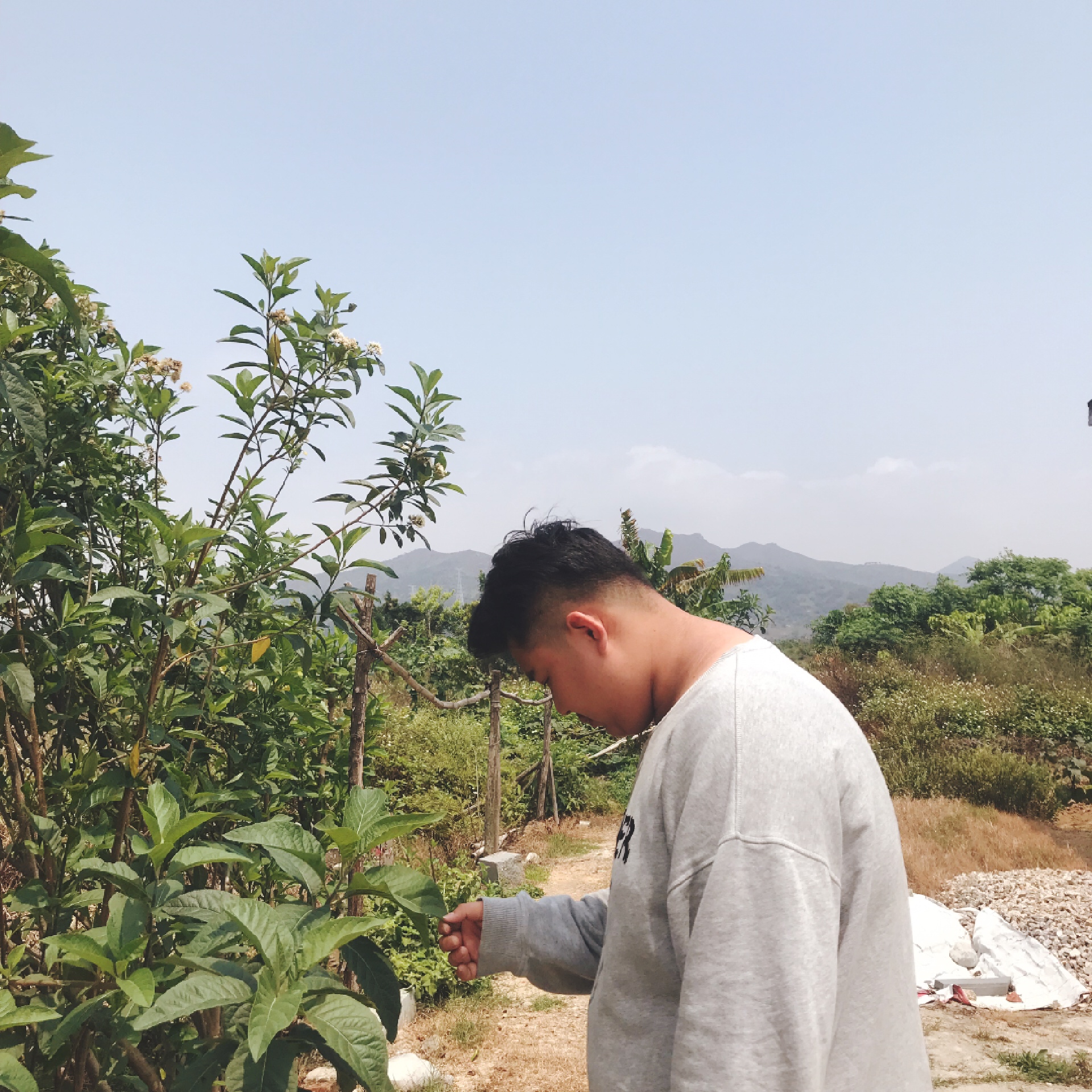 一天游 ♂  跟靓仔  @少林武义馆 卢文辉(o43124419)   @农村-难搞(o