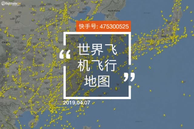 比铁路更牛的世界飞机飞行地图.看到你头皮发麻.密密麻麻. 1月前