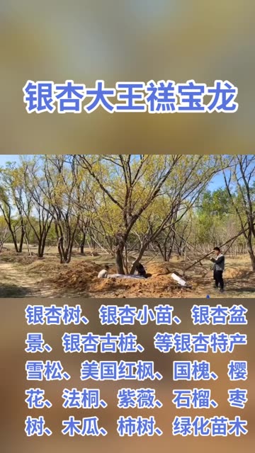 微博搜索 微博搜索