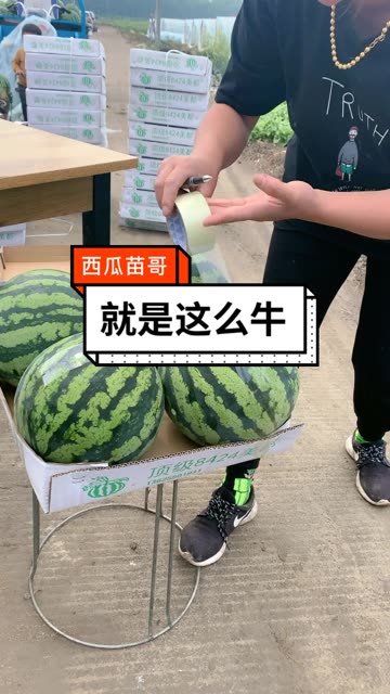 微博搜索 微博搜索