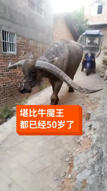 = 超过 8000 万人正在使用 她的主页 她的相册 105 关注 31 粉丝 3298