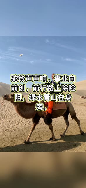 517 微博 04 查看更多 a 微关系 他的关注(370) 牙齿矫正冯静医生