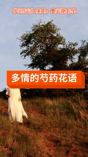 歌手于海燕中国歌剧舞剧院女中音歌唱家,音乐作品《花湖草原》