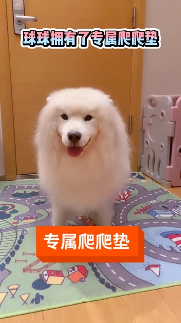 微博搜索 微博搜索