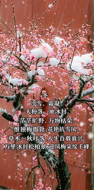 微博搜索 微博搜索