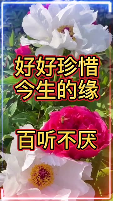 好好珍惜今生的缘!人海茫茫,缘起缘落,得失因果.